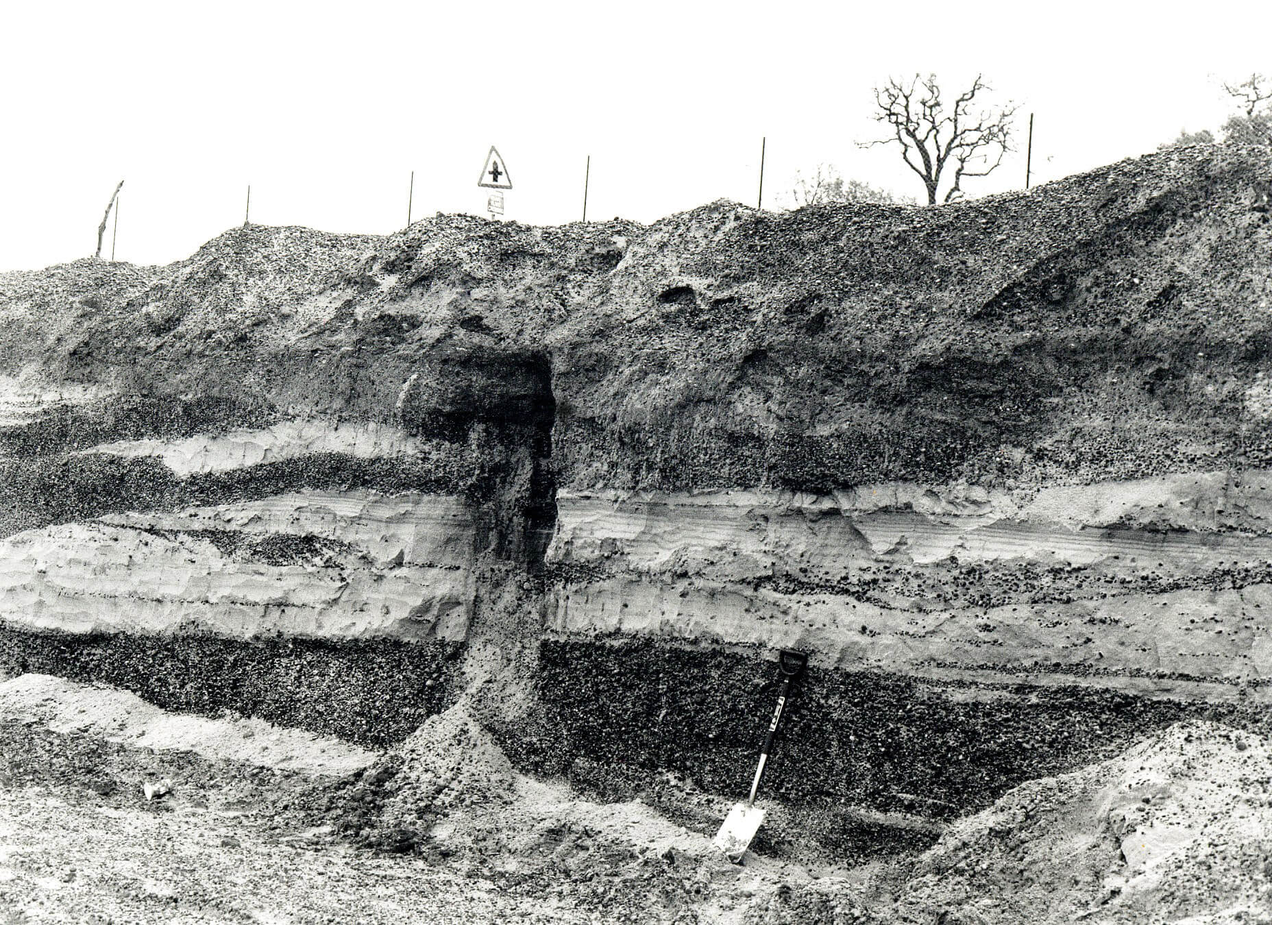 Article on ‘The Harwich Formation in London – The legacy of Chris King’